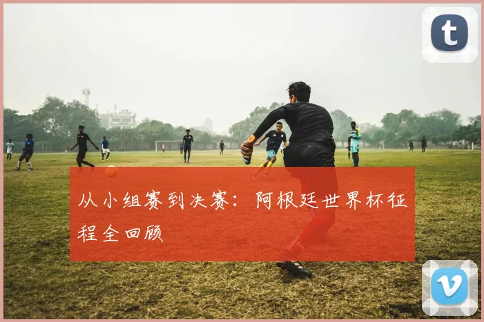 从小组赛到决赛：阿根廷世界杯征程全回顾