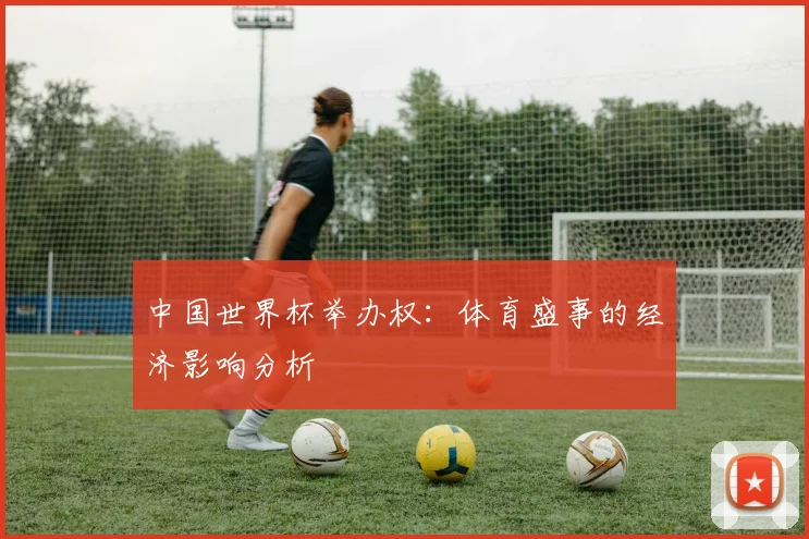 中国世界杯举办权：体育盛事的经济影响分析