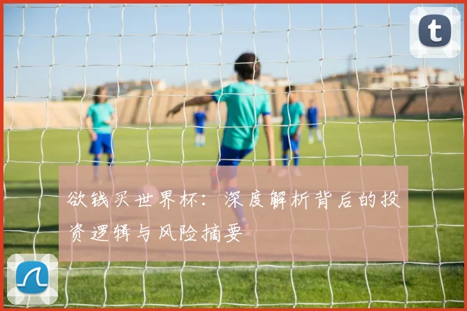 欲钱买世界杯：深度解析背后的投资逻辑与风险摘要