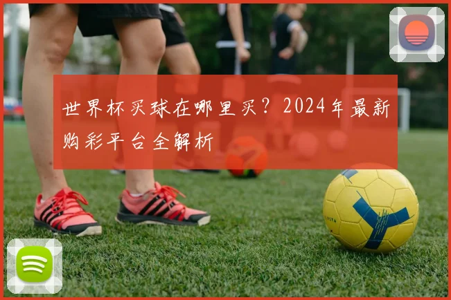 世界杯买球在哪里买？2024年最新购彩平台全解析