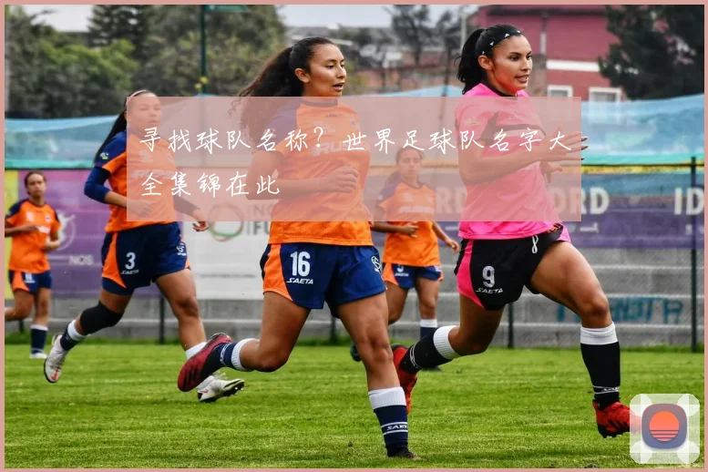 寻找球队名称？世界足球队名字大全集锦在此
