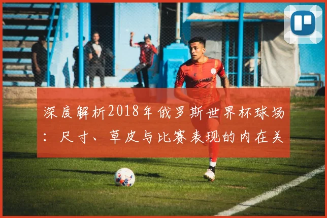 深度解析2018年俄罗斯世界杯球场：尺寸、草皮与比赛表现的内在关联