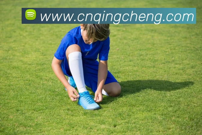 滚球官网appAPP 封面图